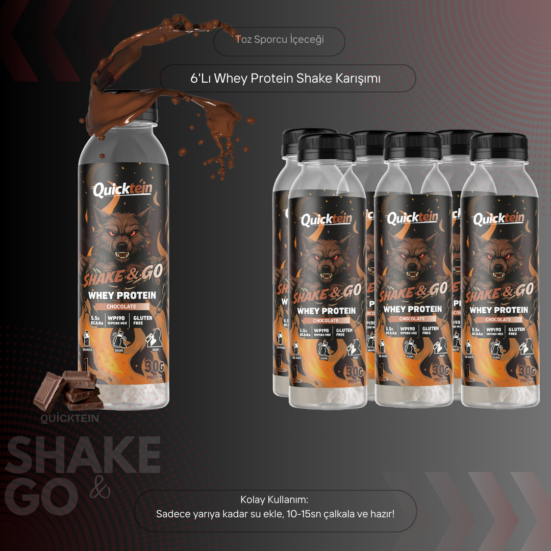 Whey Protein - Chocolate - 6lı